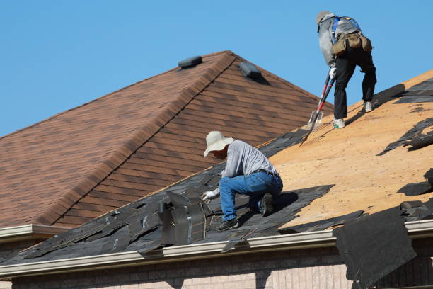 Best Wood Shake Roofing  in Forestde, AL